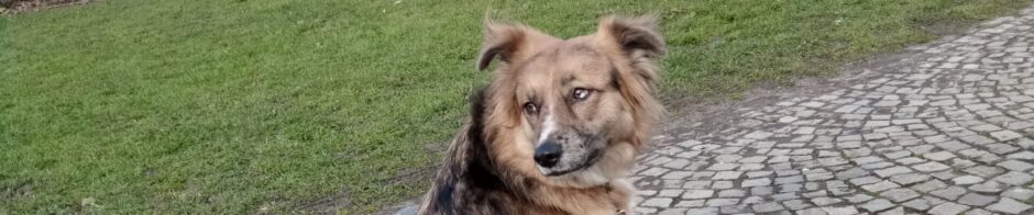 H.Poell – Krefeld / Deutschland