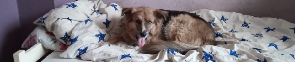 H.Poell – Krefeld / Deutschland